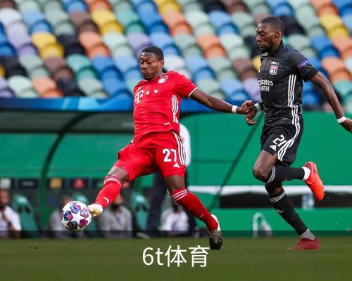 6t体育体育的故事 